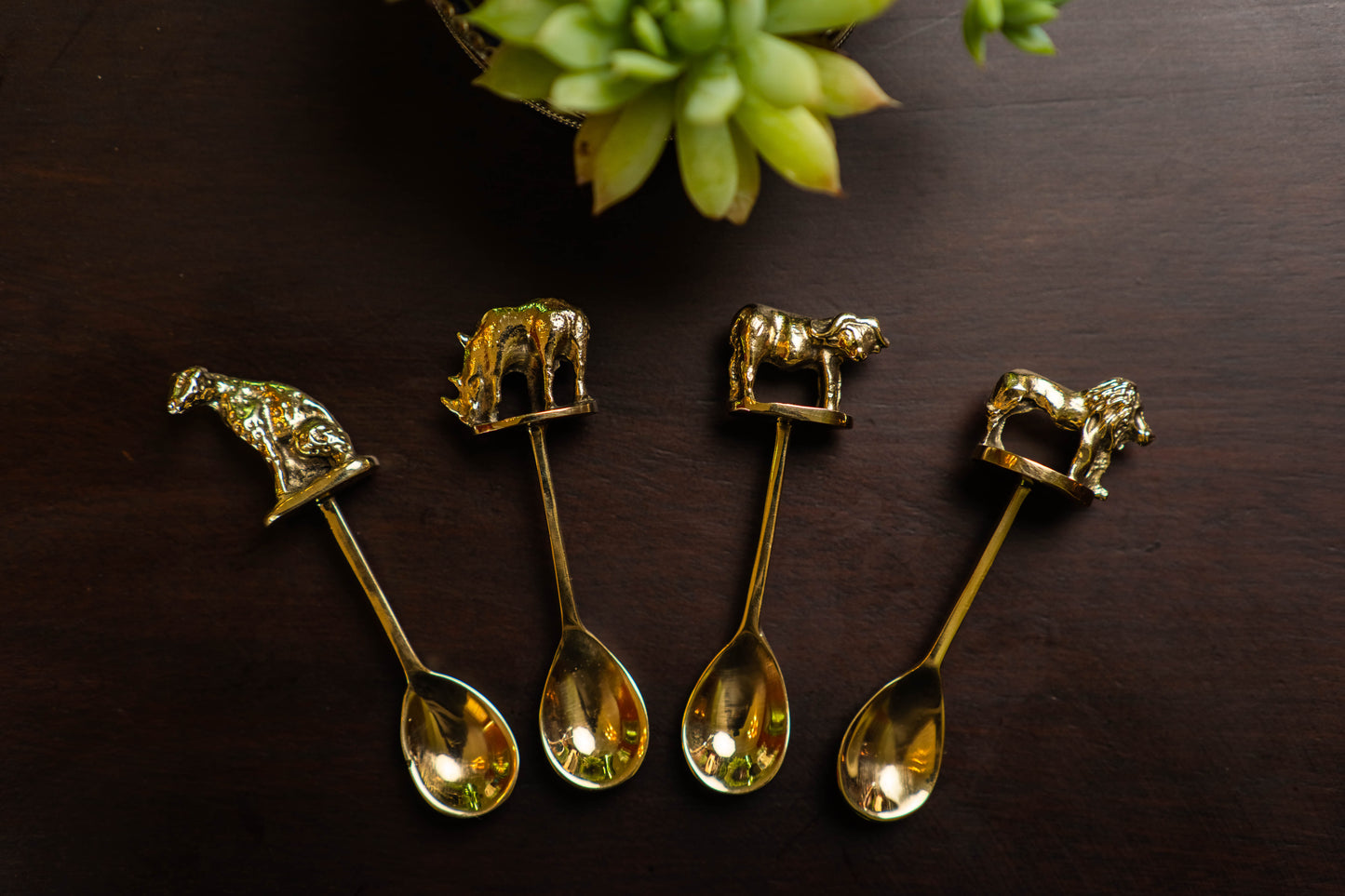 Curated Cracker Gifts