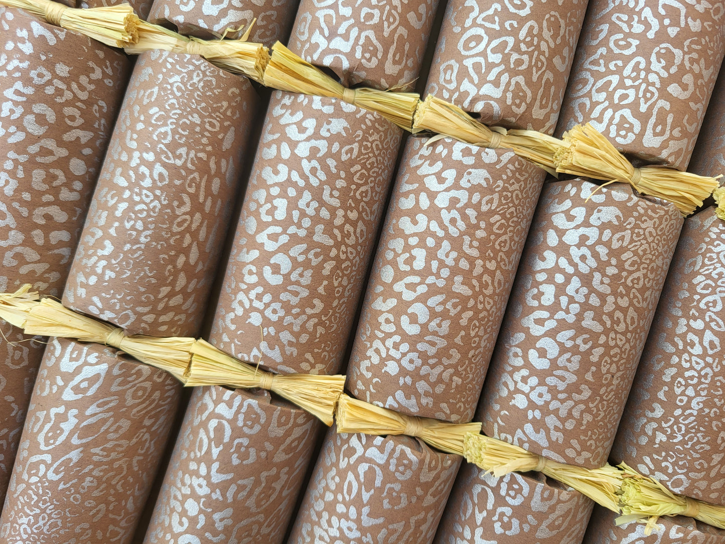 Eco Safari - Leo #001