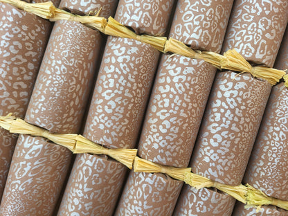 Eco Safari - Leo #001